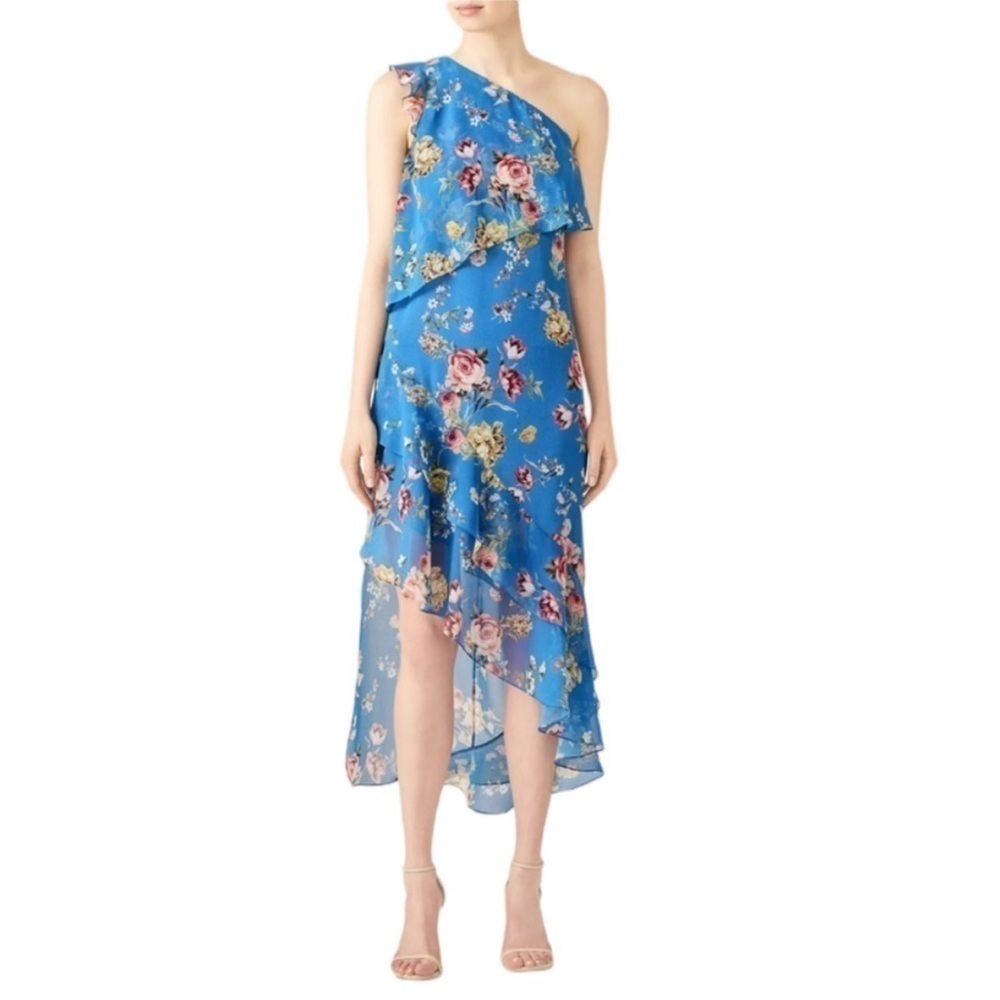Slate & Willow
Blue Floral Maxi size 4